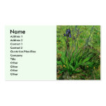 Van Gogh Iris, Vintage Impressionism Garden Art Business Cards