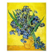Van Gogh Irises Print Photograph