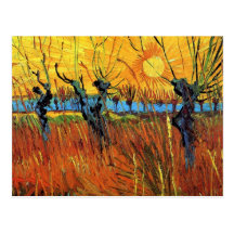 Van Gogh Willows at Sunset Postcard
