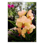 Vanda Orchid Greeting Card