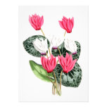 Varieties of Persian Cyclamen Invites