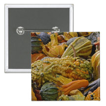 Variety of squash pinback button