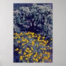 Various Desert Vegetation flowers Posters