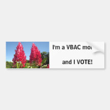 VBAC mum - I VOTE! bumpersticker Bumper Sticker