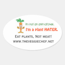 Veggie Chef Stickers- Set of 4