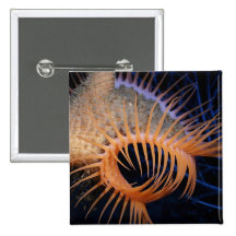 Venus Flytrap Sea Anemone Pin