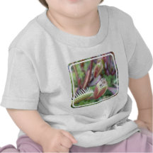 Venus Flytrap Shirts