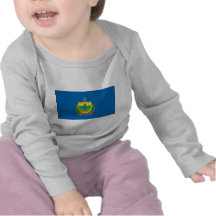 Vermont  Official State Flag T-shirts