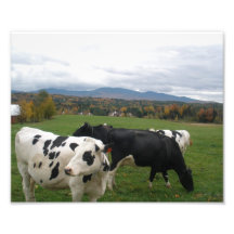 "Vermont" Photo
