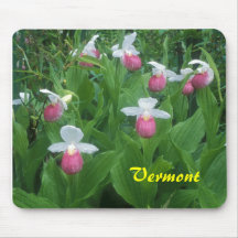 Vermont Showy Lady's Slippers Mouse Pad