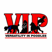 Versatility in Poodles Acrylic Cut Out