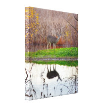 Very Deer Reflection canvas wrap Canvas Print