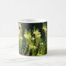 Very Elegant - Black and yellow, and light. Coffee Mugs
