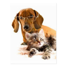 Very nice and cute. postcards