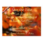 Vibrant Autumn Save the Date Wedding Postcard