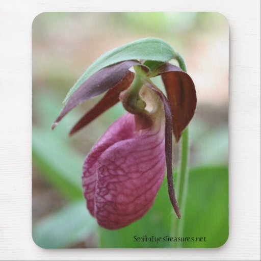 Vibrant Lady Slipper Flower Photo Mousepad