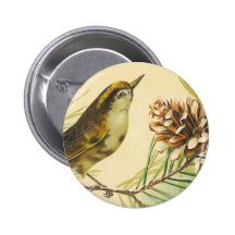 Victorian Bird Button