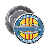 Vietnam Arrowhead CIB 173rd Pinback Button