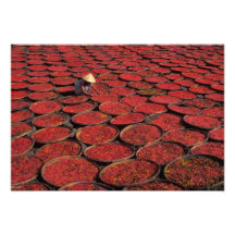 Vietnam. Candy drying in baskets under the Art Photo