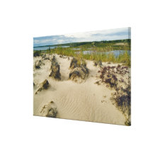 View from a sandy hilltop of lakes and hills on stretched canvas prints