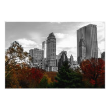 View from Central Park in New York City Photographic Print