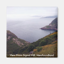 View From Signal Hill 1 Magnet