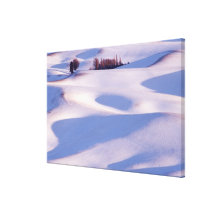 View from Steptoe Butte of rolling hills covered 2 Gallery Wrapped Canvas