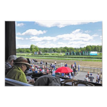 View from the Owner's Box Photo Print