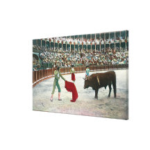 View of a Matador About to Slay the BullSpain Gallery Wrapped Canvas