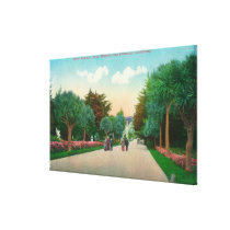 View of Palm Avenue at Sutro Heights Canvas Prints