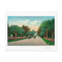 View of Palm Avenue at Sutro Heights Postcard