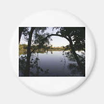 View of the pond magnet