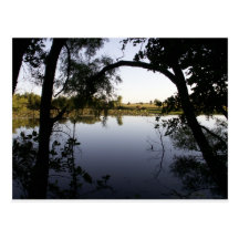 View of the pond postcards