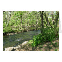 View of the River Greeting Card