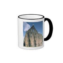 View of the ruins coffee mug
