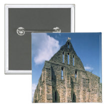 View of the ruins pinback button