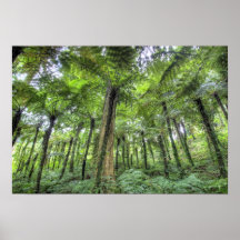 View of vegetation in Bali Botanical Gardens, Posters