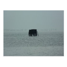 Views of the Chesapeake Bay Post Card