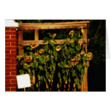 Vincents Garden cards