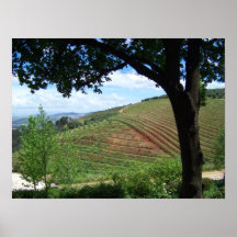 Vineyard Pride Poster