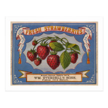 Vintage Ad for Fresh Strawberries circa 1868 Post Cards