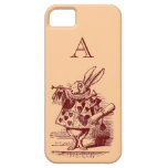 Vintage Alice in Wonderland