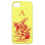 Vintage Alice in Wonderland