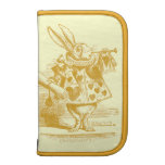 Vintage Alice in Wonderland Organizer