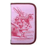 Vintage Alice in Wonderland Organizer