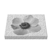 Vintage Anemone Canvas Print