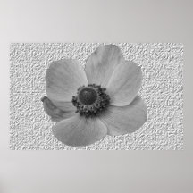 Vintage Anemone Flower Print