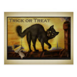 Vintage Black Cat Postcard