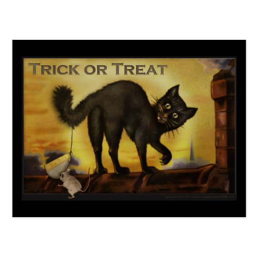 Vintage Black Cat Postcard