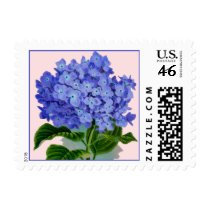 Vintage Blue Hydrangea Flower Postage stamps